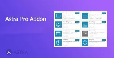 Astra Pro WordPress Plugin (Astra Pro Theme / Addon)